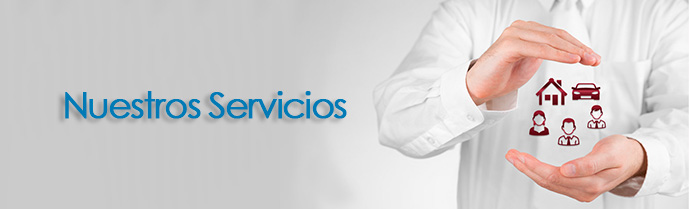 nuestros-servicios-v21