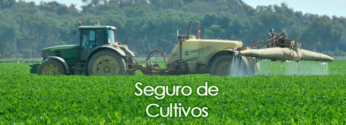 seguro-cultivos-v1