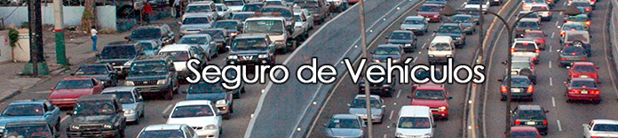 seguro-vehiculos-v2