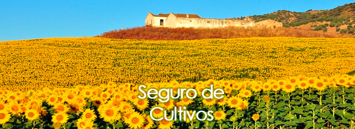 seguro-cultivos-v3