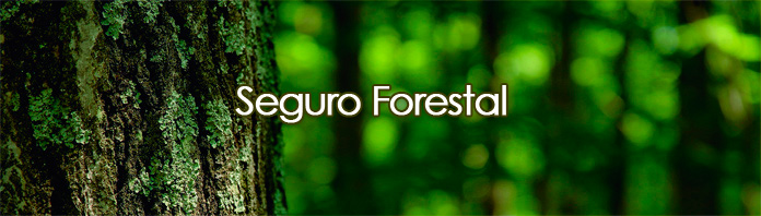 seguro-forestal-v5